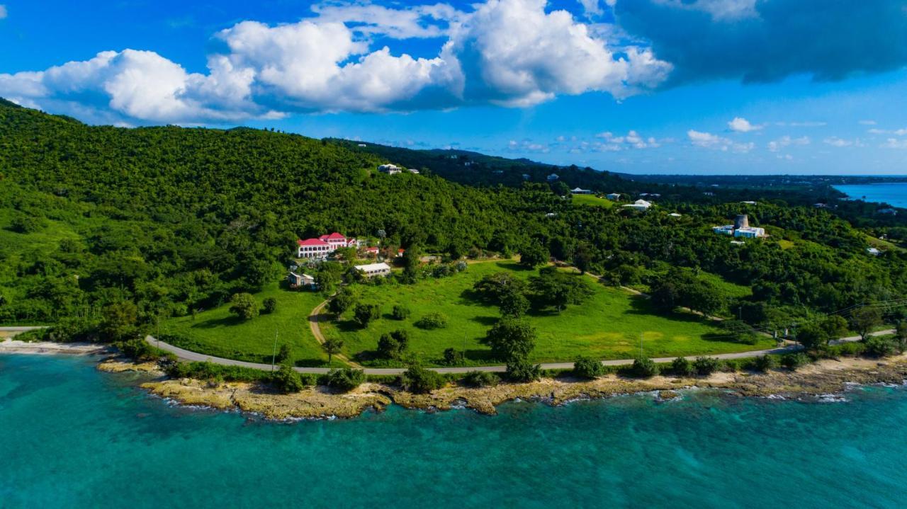 Feather Leaf Inn Frederiksted Exterior foto